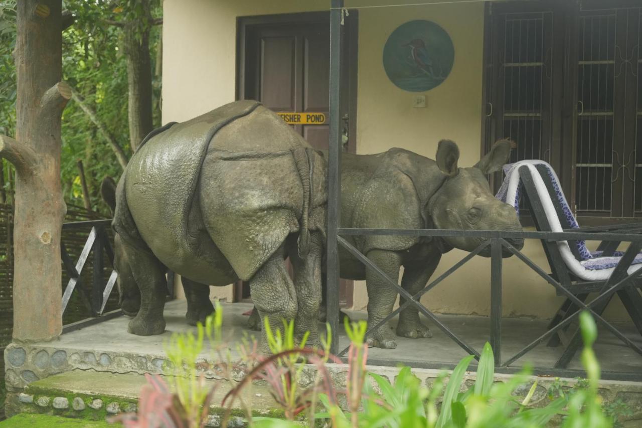 Chitwan Gaida Lodge - Animal Lovers & Birdwatchers Paradise Саураха Екстер'єр фото