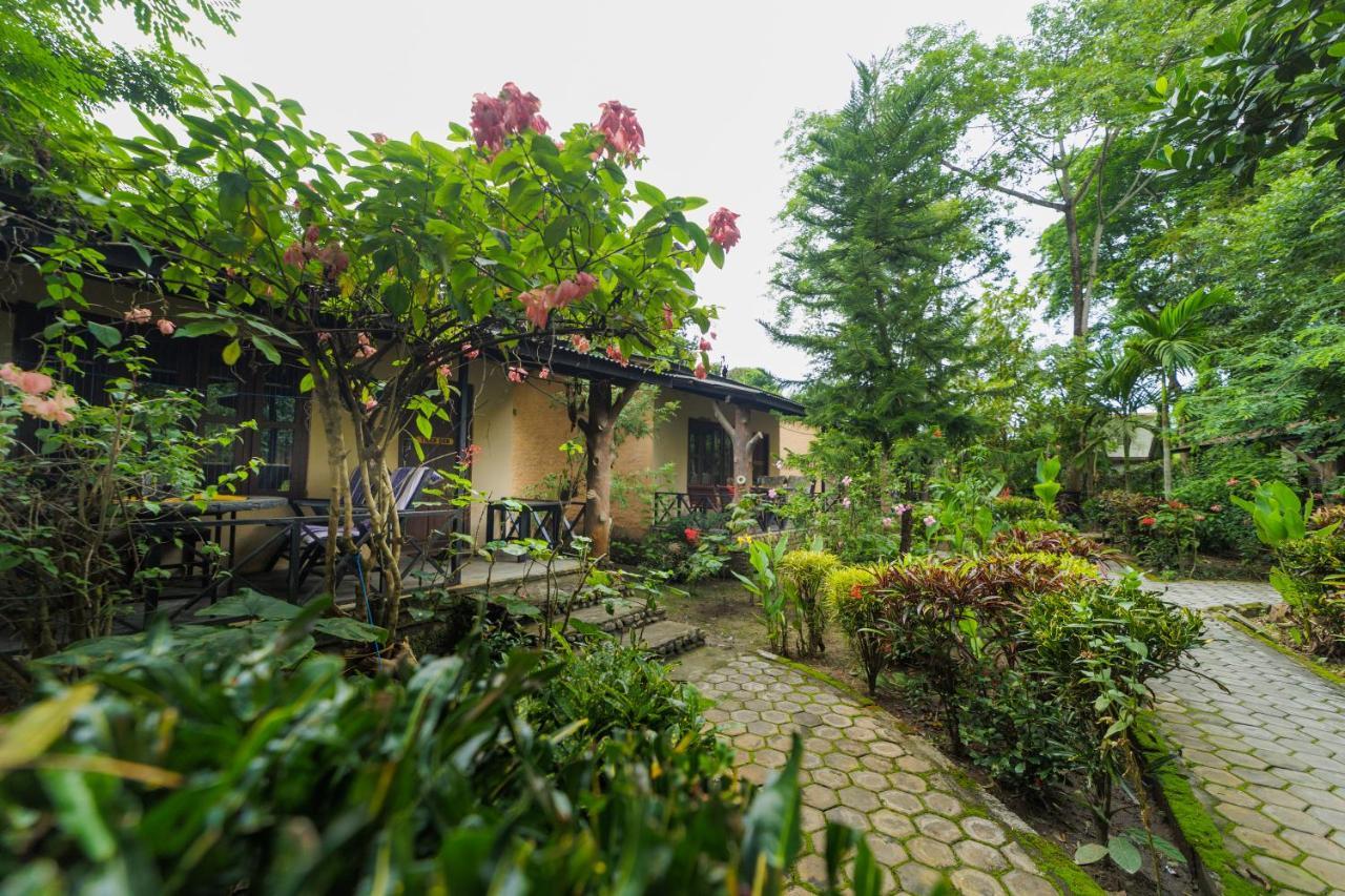 Chitwan Gaida Lodge - Animal Lovers & Birdwatchers Paradise Саураха Екстер'єр фото