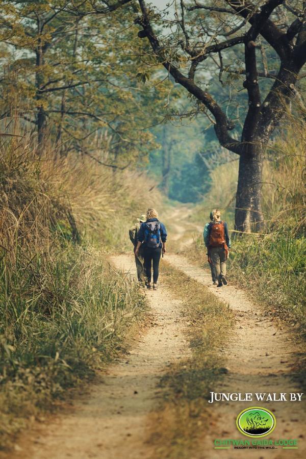 Chitwan Gaida Lodge - Animal Lovers & Birdwatchers Paradise Саураха Екстер'єр фото