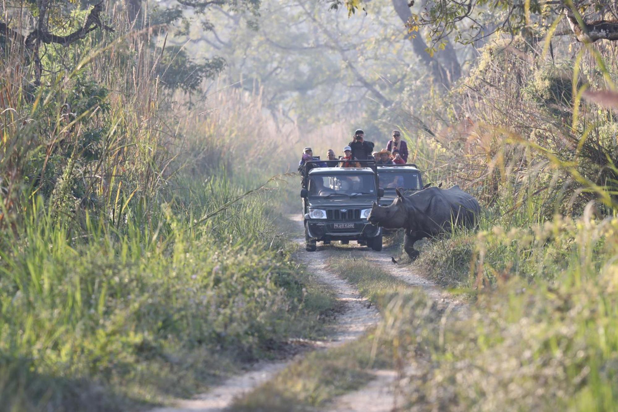 Chitwan Gaida Lodge - Animal Lovers & Birdwatchers Paradise Саураха Екстер'єр фото