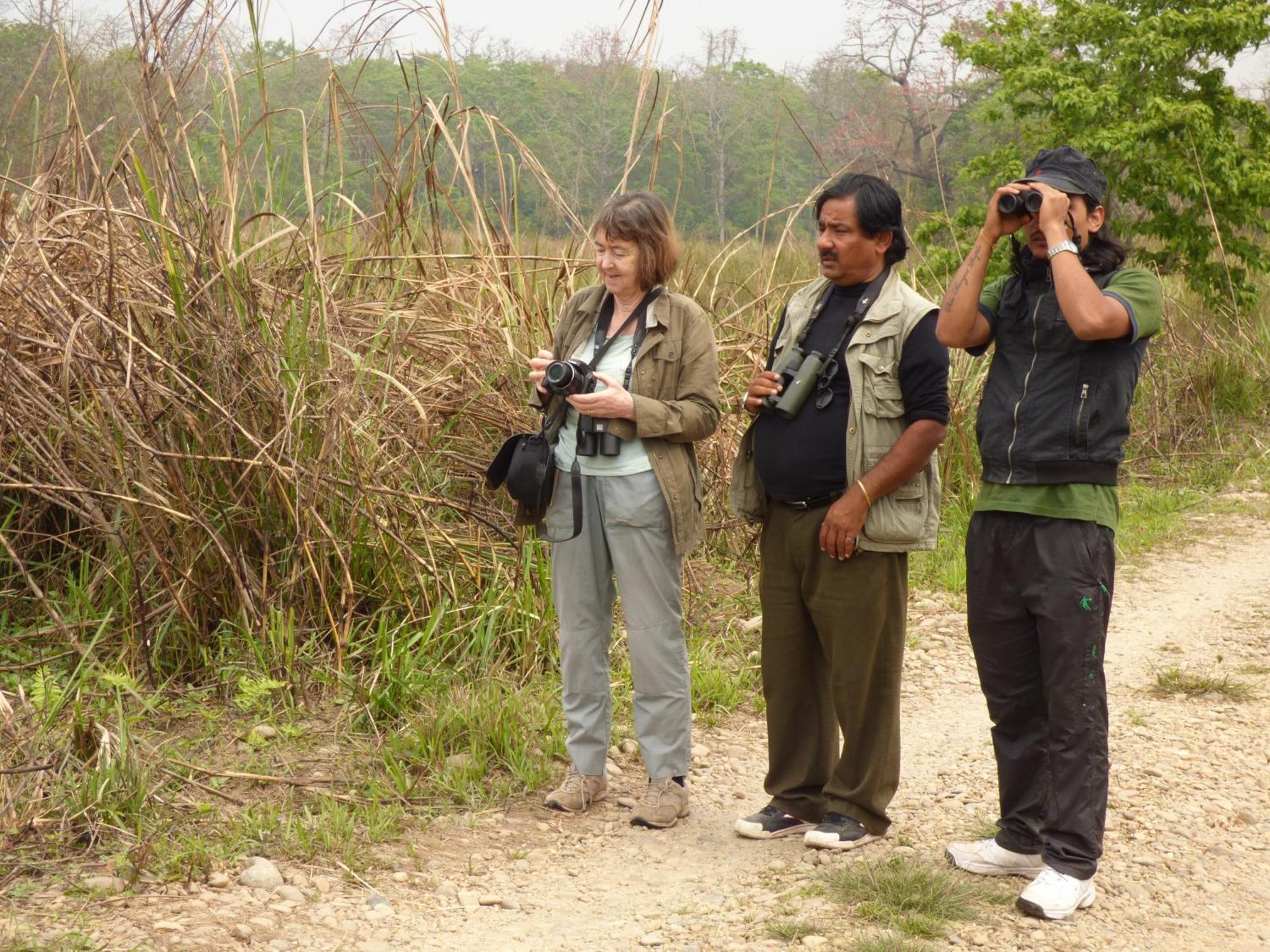 Chitwan Gaida Lodge - Animal Lovers & Birdwatchers Paradise Саураха Екстер'єр фото