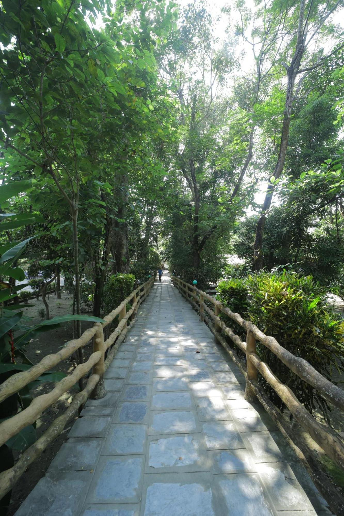 Chitwan Gaida Lodge - Animal Lovers & Birdwatchers Paradise Саураха Екстер'єр фото