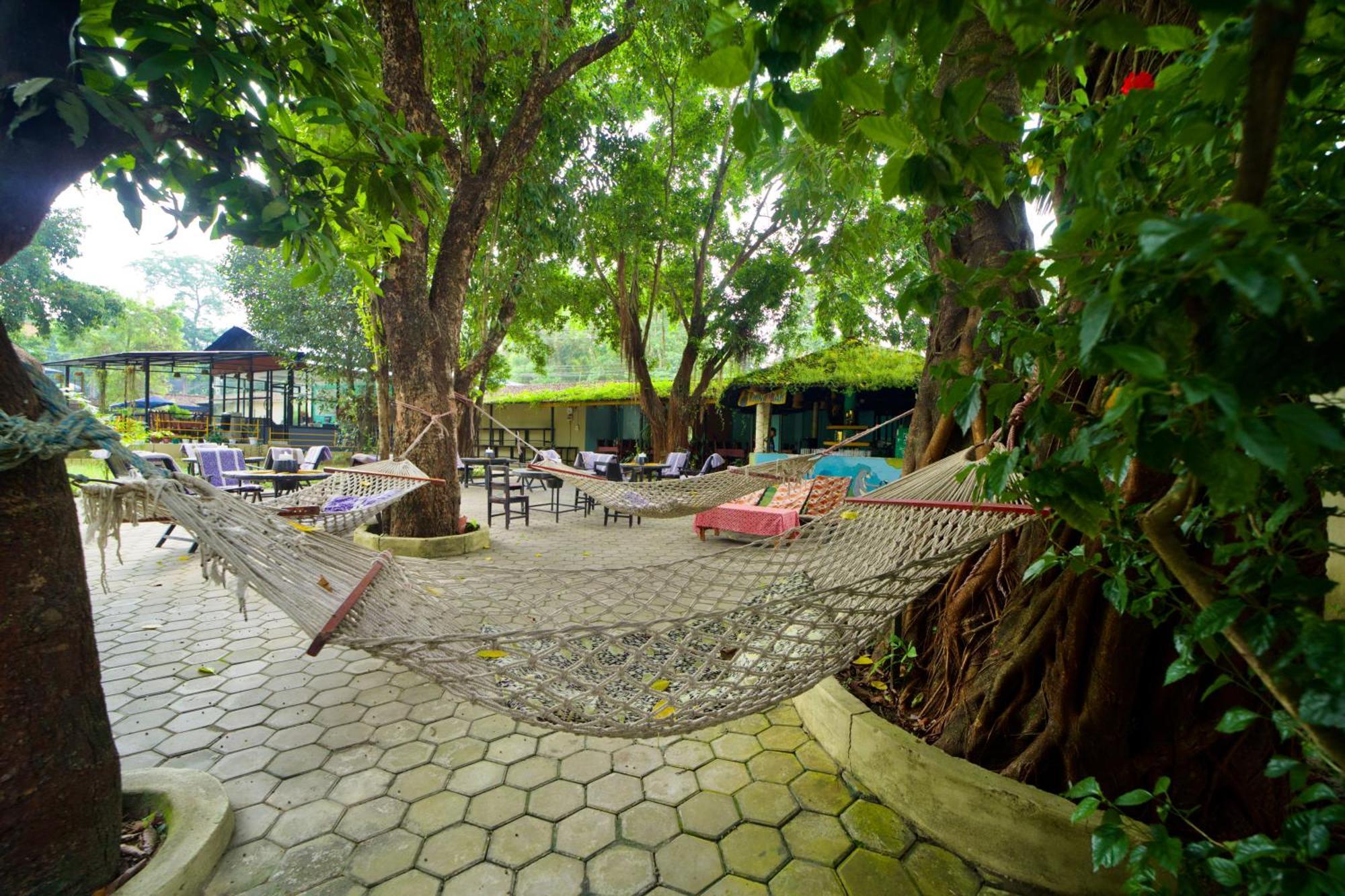 Chitwan Gaida Lodge - Animal Lovers & Birdwatchers Paradise Саураха Екстер'єр фото